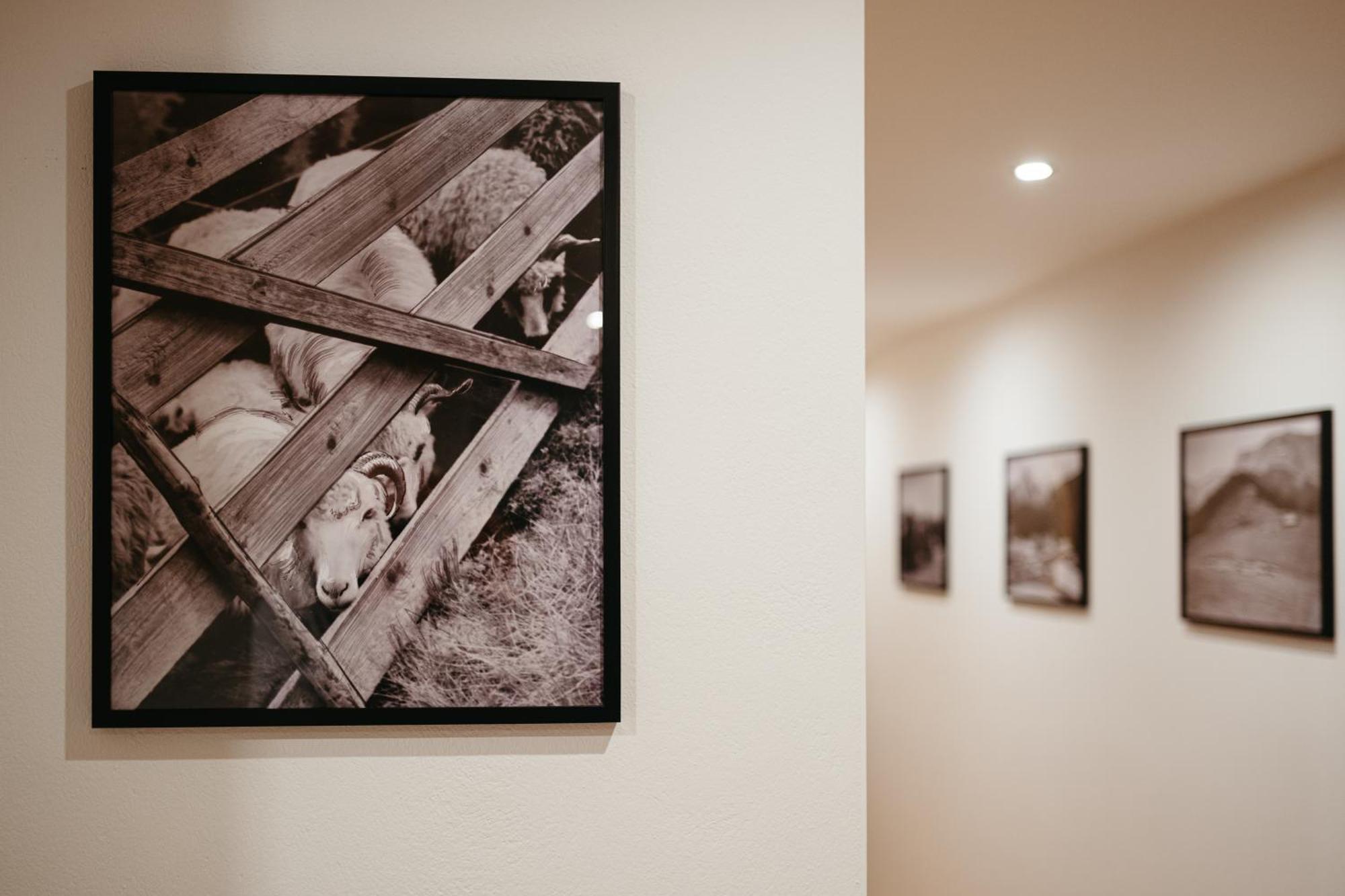 Novopolka Apartamenty Rzepiska Habitación foto